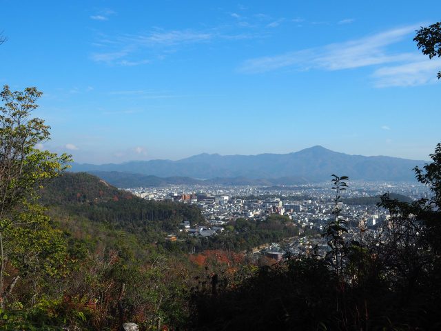 フラットエージェンシーの 北区案内【衣笠】