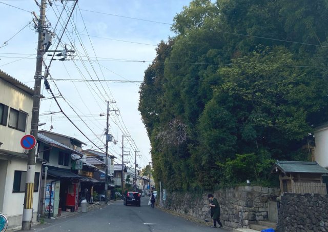 フラットエージェンシーの北区案内 【旧大宮通・大宮通】