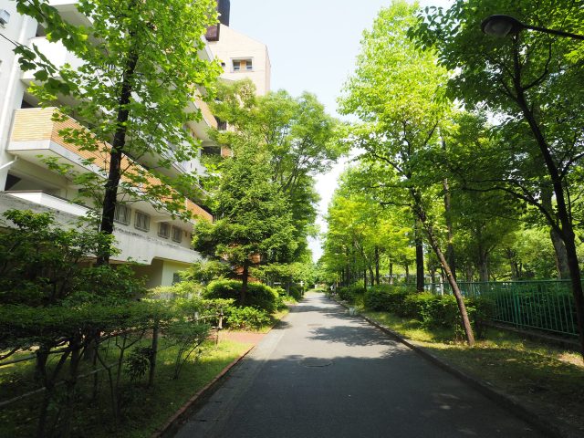 高野団地・改装済みのお部屋【3LDK・左京区】
