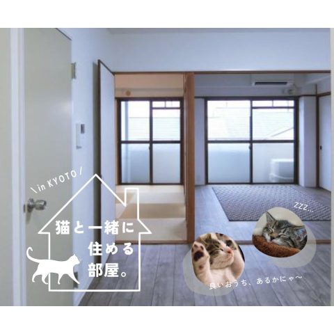 猫と一緒に住める部屋。【北区・左京区】