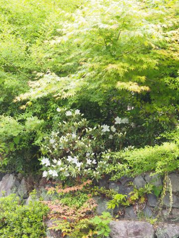 小さなお庭が欲しい方に。【北区・貸家】