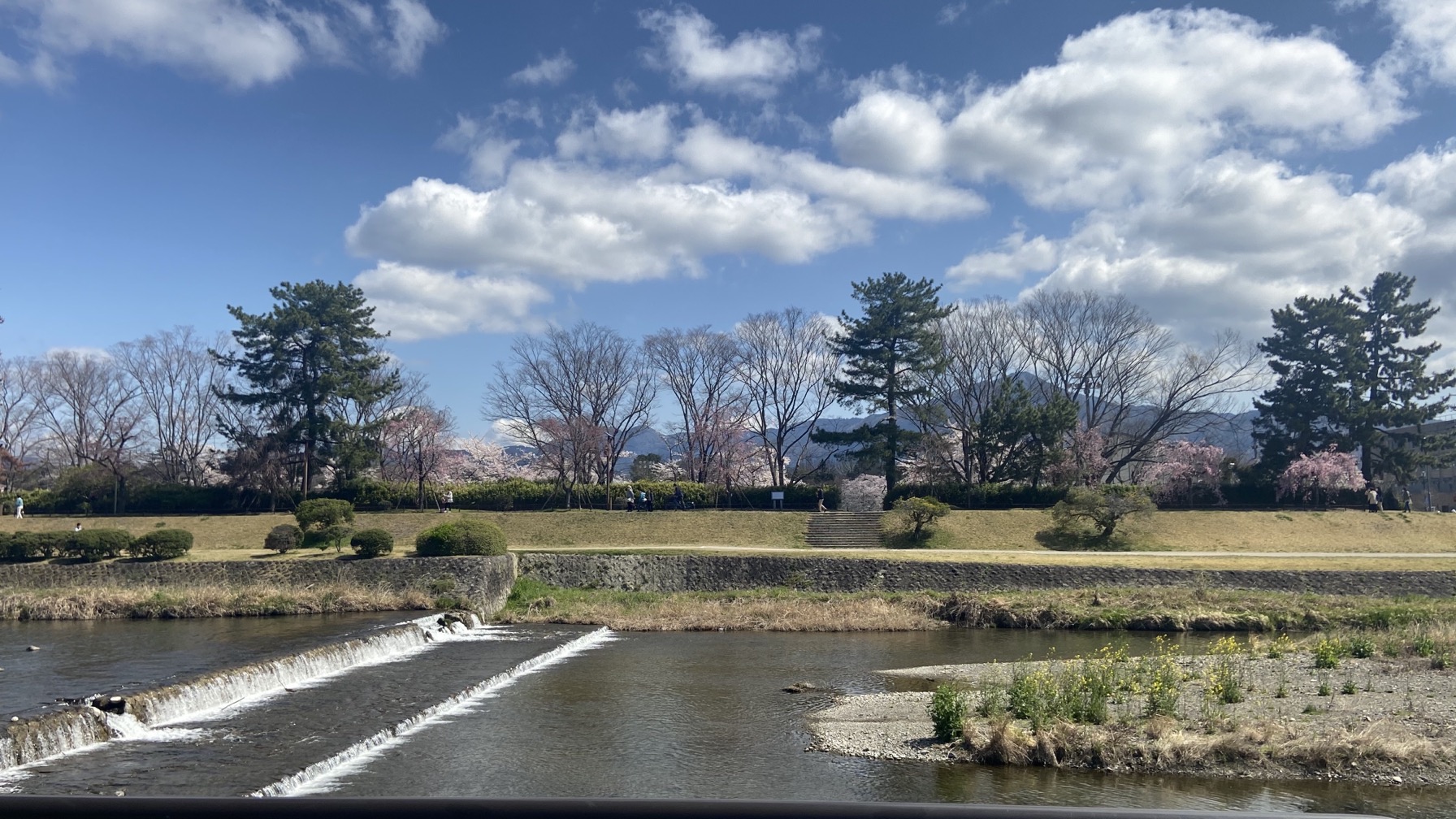 賀茂川　京都府立植物園