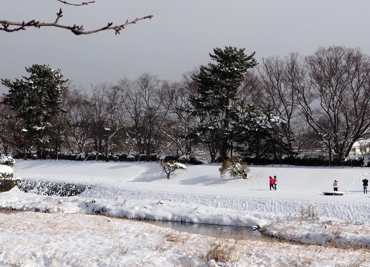 賀茂川　冬　雪景色
