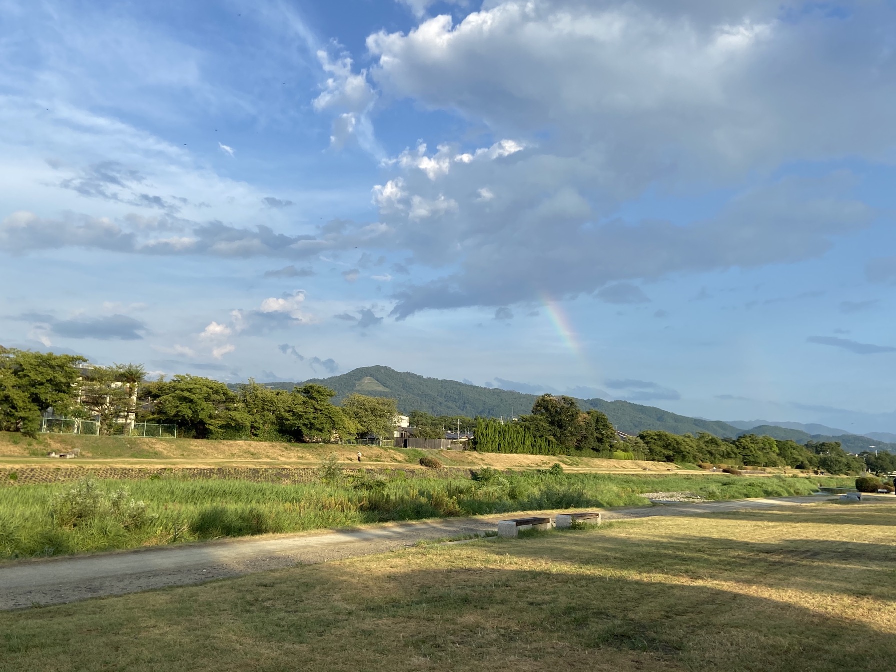 賀茂川　初夏