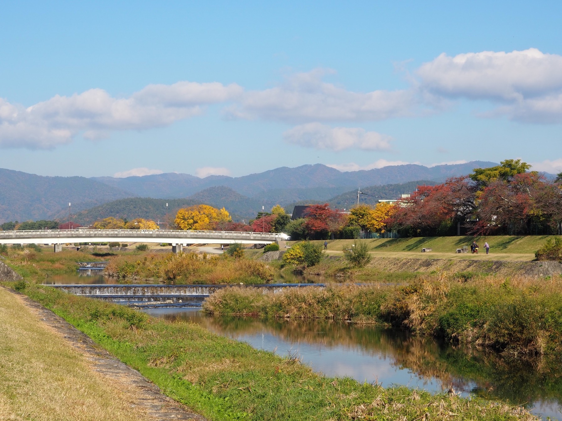 賀茂川　秋