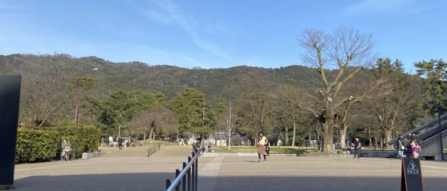 東山のふもと、北白川・浄土寺・岡崎周辺【単身向け物件】