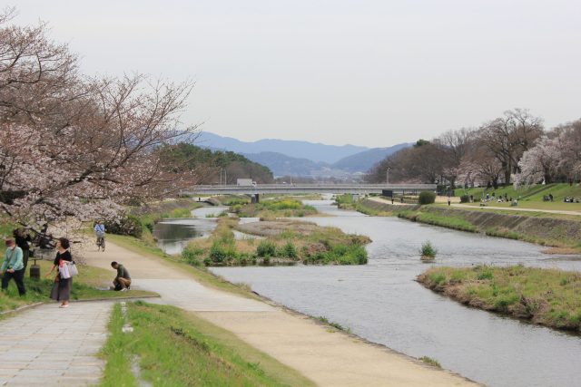 北山エリアのおすすめ物件（1K〜1LDK）【京都府立大学・京都産業大学周辺】