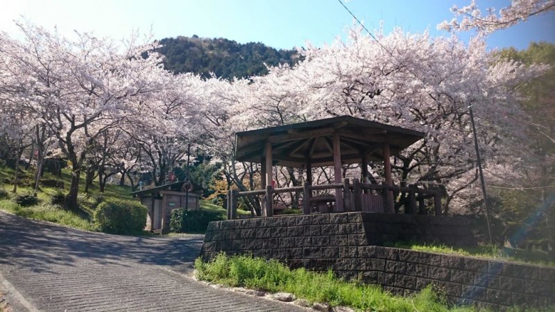 ハイツわかば 吉田山公園
