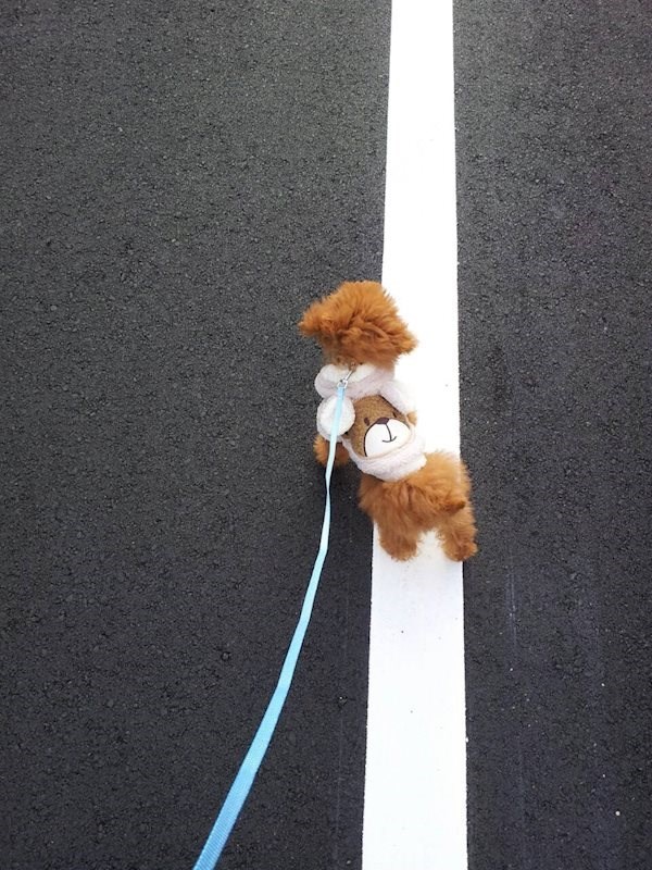 パークヴィラ その他