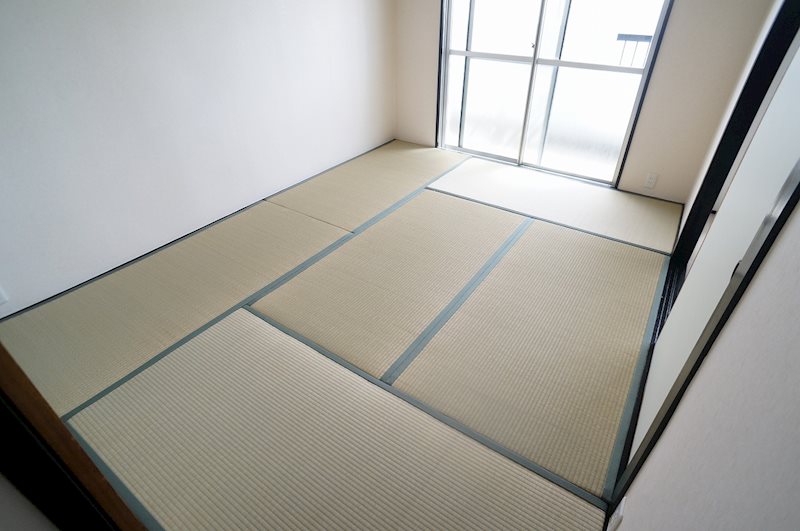 ビラキヨシ その他