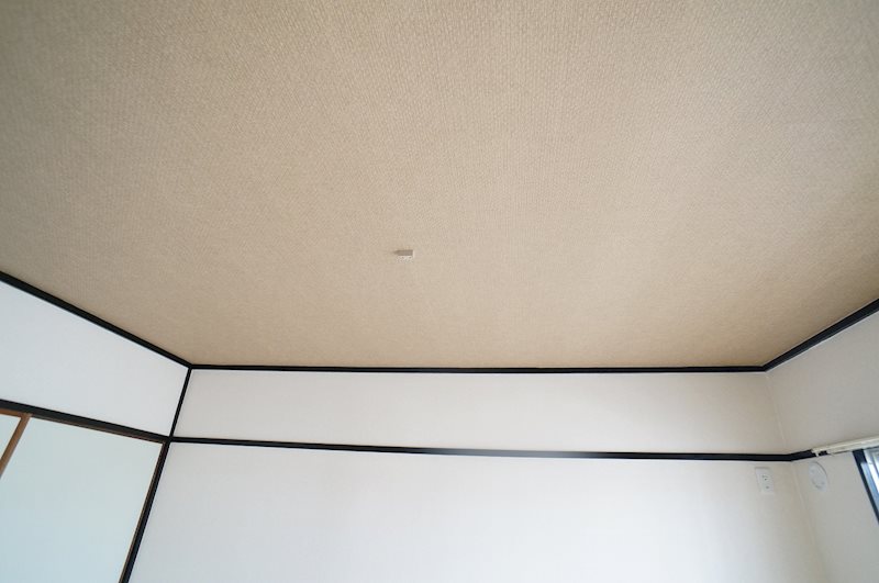 ビラキヨシ その他