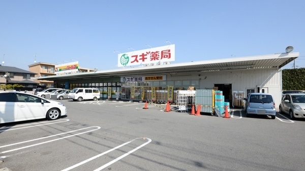 アルバ　セレーノⅡ スギ薬局まで270m