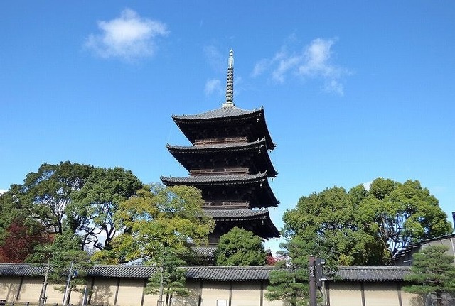 ミカサ　ハウス 東寺まで500m