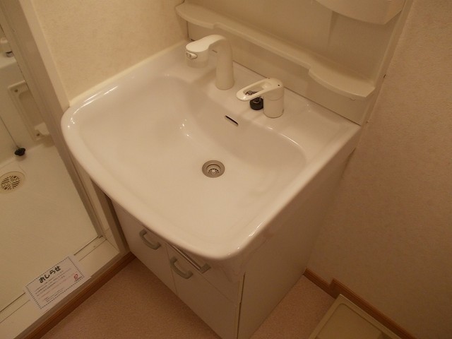 ディアコート広野 洗面所