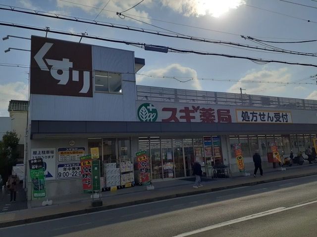 グランデ・カーサ・ケイⅡ スギ薬局まで900m
