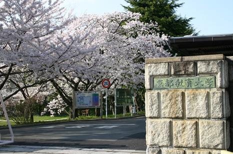Luce Solare 京都教育大学