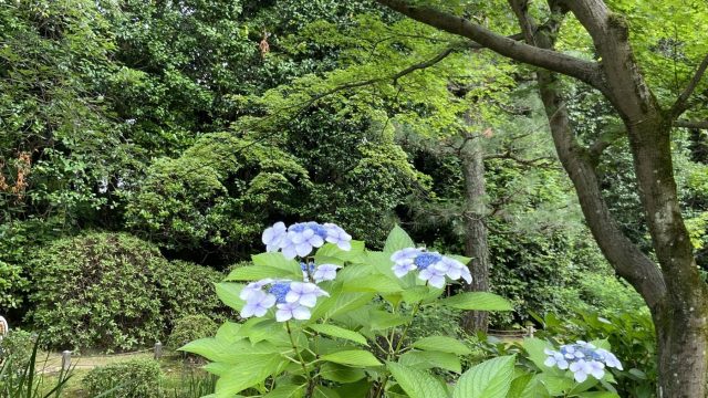 雨の季節に便利☔️✨浴室乾燥付or  共同ランドリー（乾燥機付）の物件をピックアップ