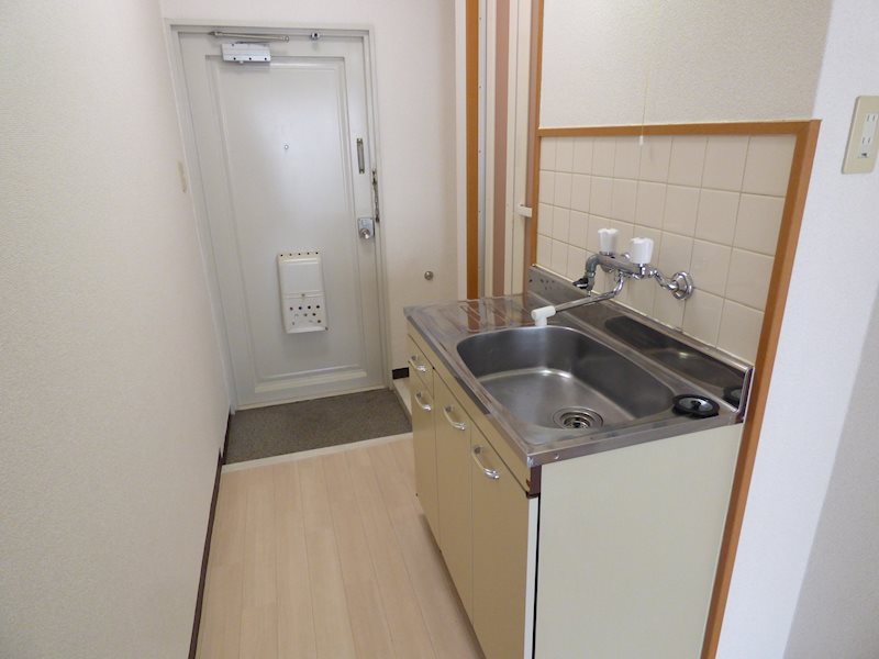 日の出ハイツ その他部屋・スペース