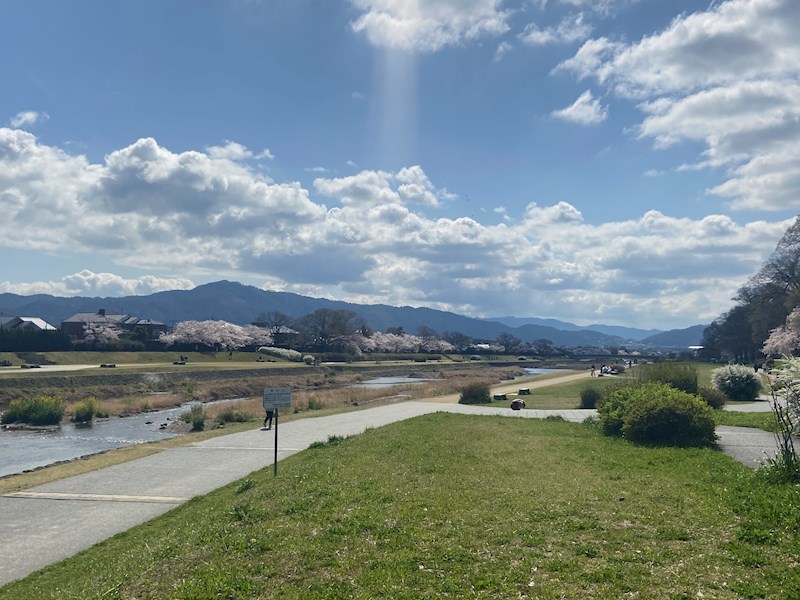 小山下内河原町京町家 周辺（賀茂川北大路橋周辺）