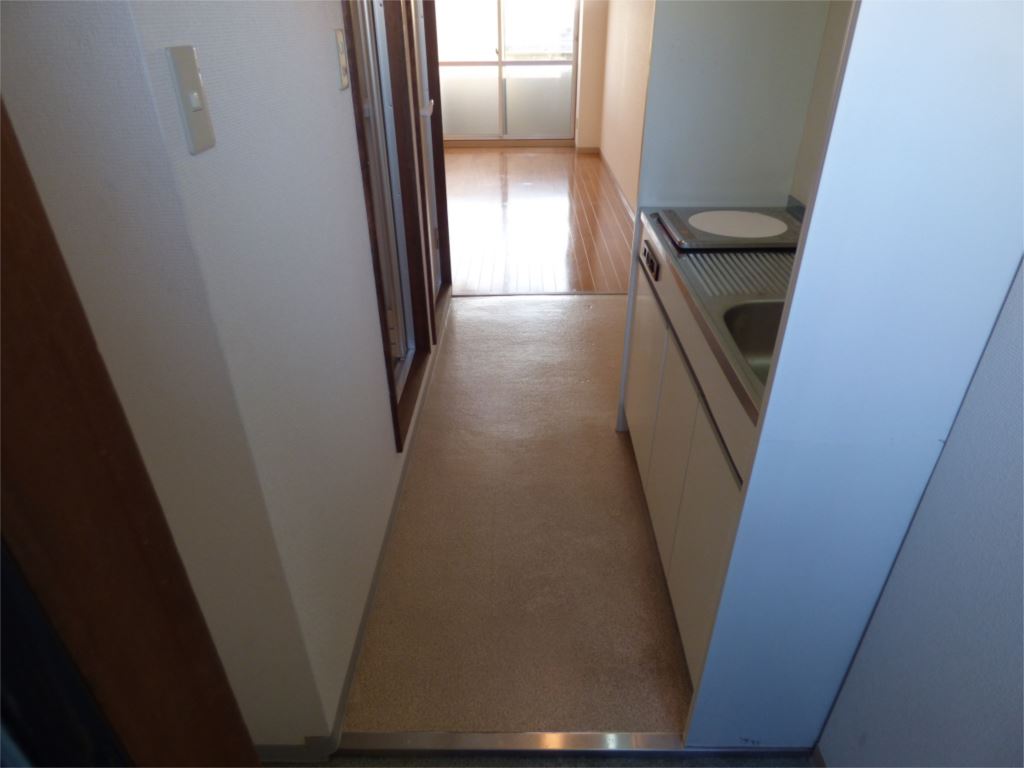 フラットフジタ 写真は403号