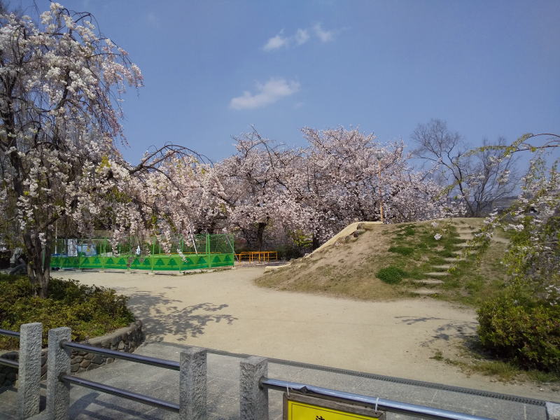 カノン雁金 先斗町公園