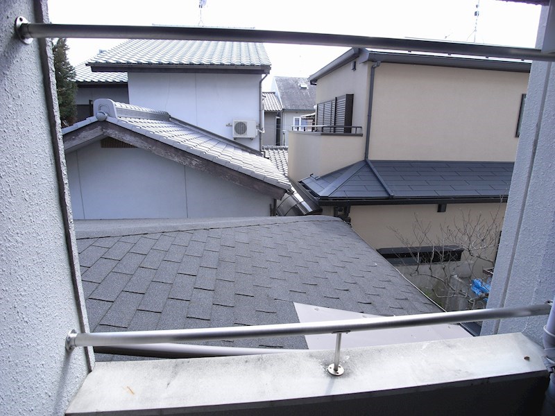 アドニス 写真は３０６号
