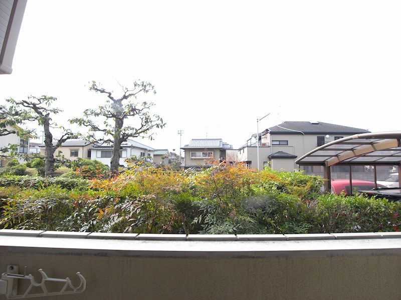 ハニークリーク 写真は111号室