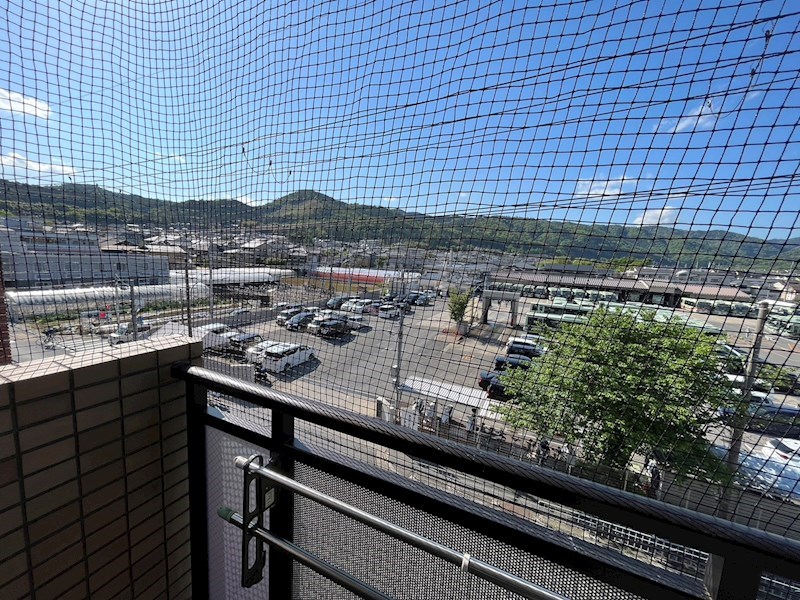 casa comodo 眺望