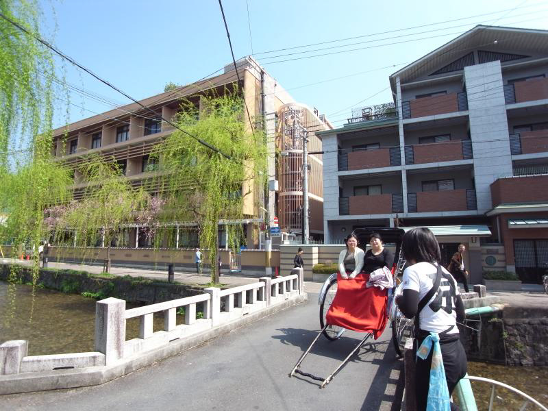 Karatohana 白川