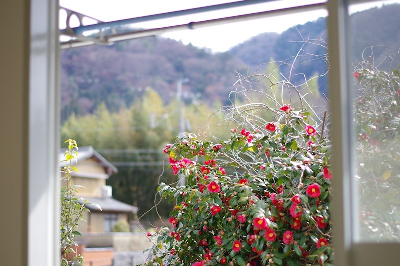 サンハイツ 眺望