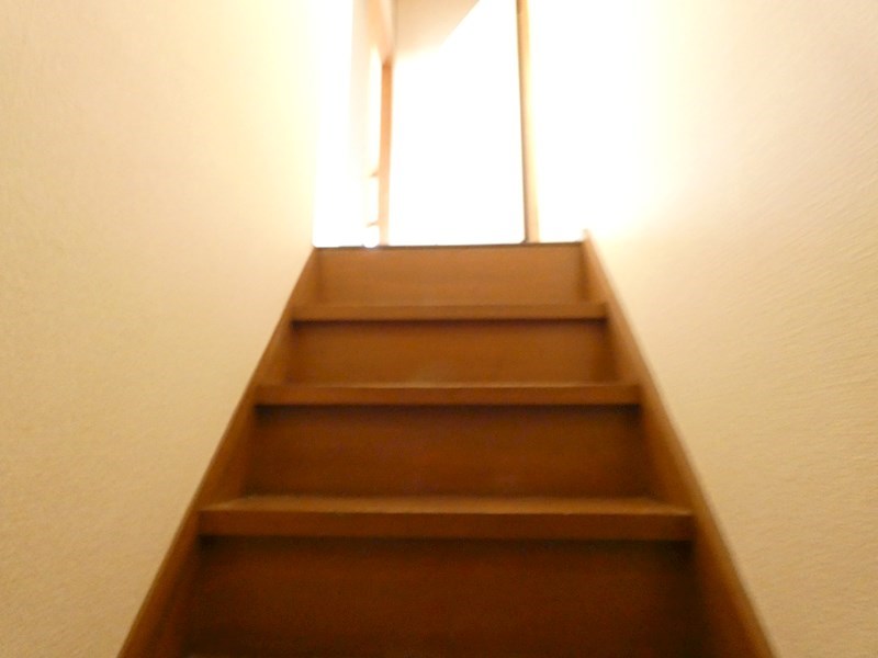 HATA TERRACE その他