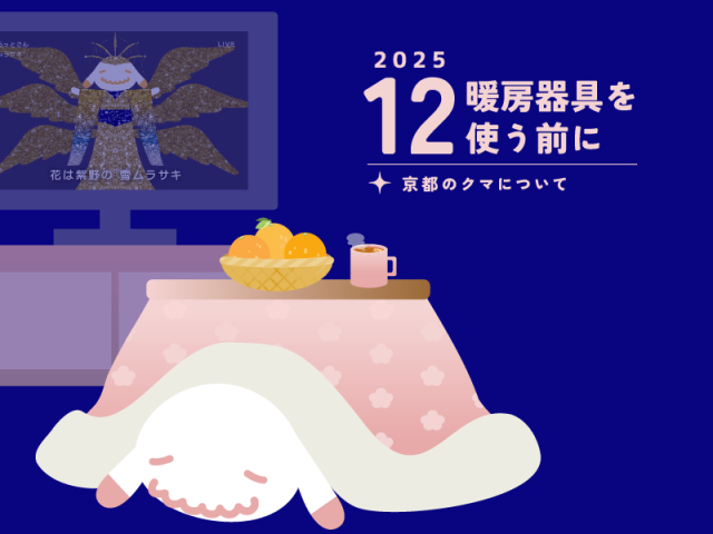 【12月のお便り】暖房器具を使う前に／京都のクマについて