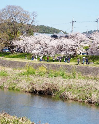【春から京都】京都産業大学新入生向け お部屋探し情報 🌸