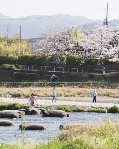 【春から京都】京都大学周辺のおすすめ物件