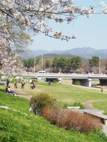 リノベーション京町家。賀茂川近く風光明媚な立地🌸【北区・北大路・ 2LDK】